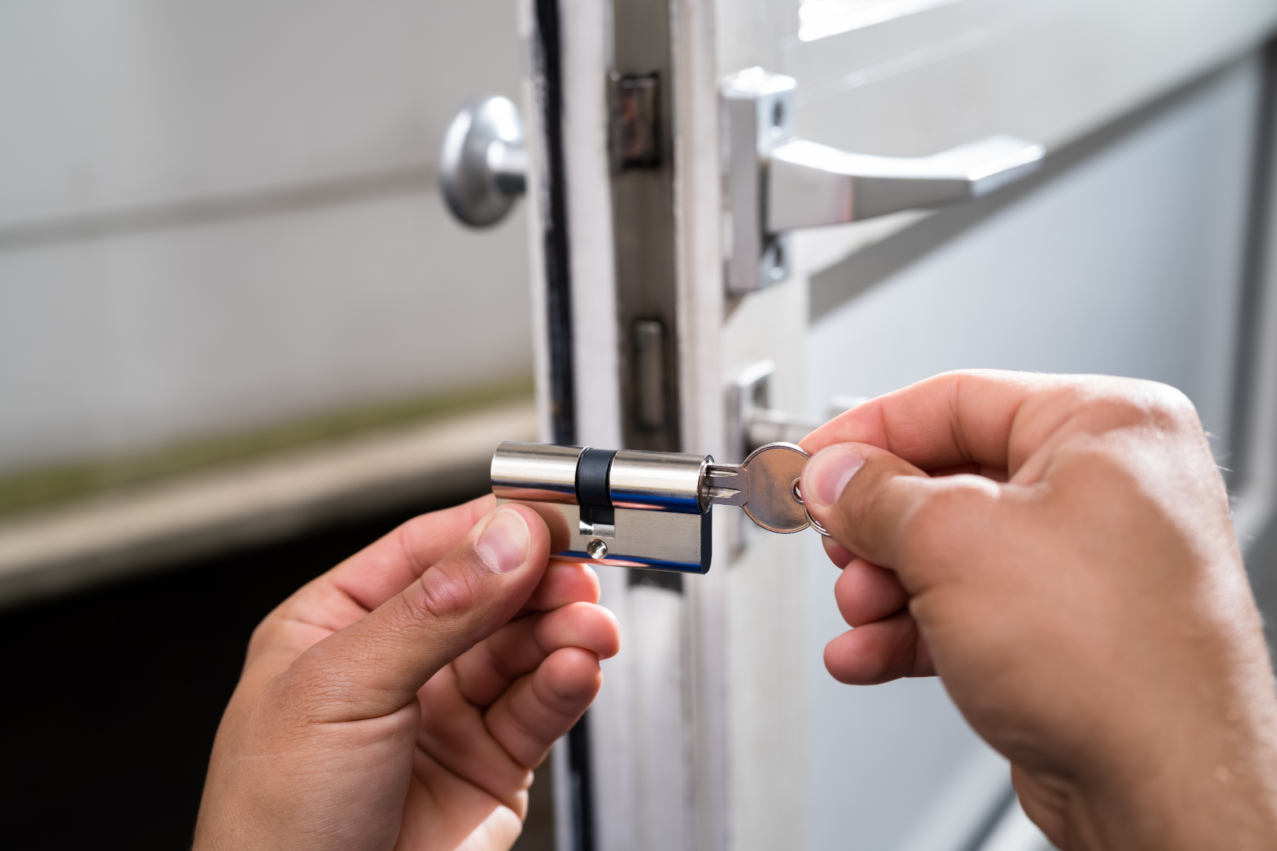Descripción